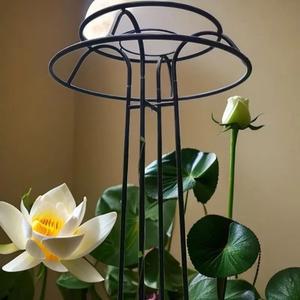 꾸미기 능소화지지대 정원 나팔꽃 고급형 철제 지지대