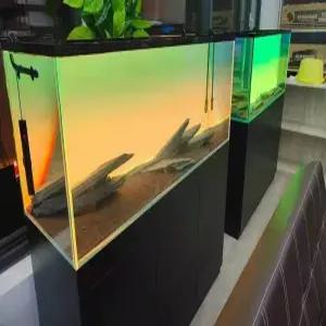 어항 라이트백스크린 백스크린 수조 배경 색상조절 스팟 조명 시스템