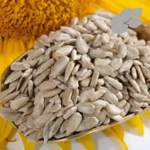 해바라기씨_1kg(대용량 봉투형)/해바라기씨/볶음/너트/국산/볶은/견과류/볶은해바라기씨/한줌/견과