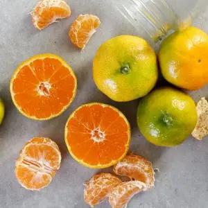 [제주도] 조생 감귤 5kg L-2L(대과)