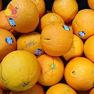 가정용 실속형 못난이 오렌지 5kg