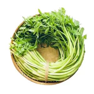 국내산 아삭한 미나리 1kg