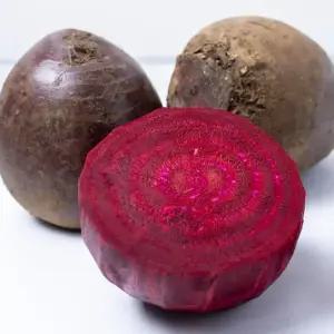 싱싱햇 제주 레드비트 빨간무 제주도 비트 10kg