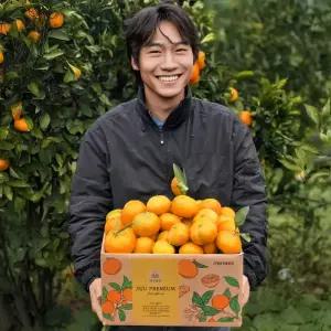 (노마진) 제주 조생 고당도 타이벡 감귤