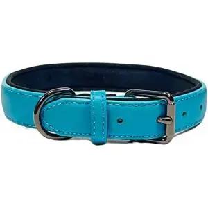 대형 및 X-대형견을 위한 빌리치 정품 가죽 개 목걸이 튼튼한 조절 가능한 칼라 1.18인치 너비 녹슬지 않는