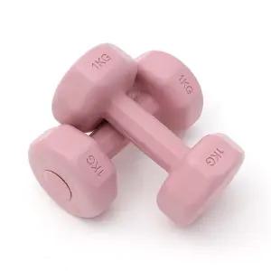 여성용 덤벨 홈트 입문용 육각 아령 세트 2P 1KG 핑크
