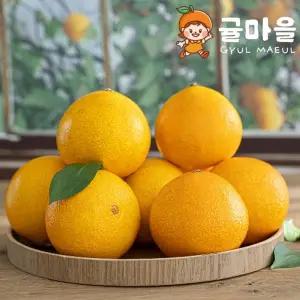 귤마을 노지 황금향 5kg 대과