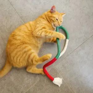고양이 장난감 밧줄 (WFKBOG3)