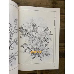 민화도안 화병도 파초도 궁모란도 백묘원고집 시리즈 중국화기법 Bailong 국화 보물