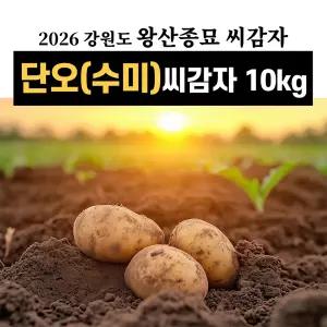 왕산종묘 강원도 단오(수미)씨감자 10kg 강원도 정품 햇감자 감자씨
