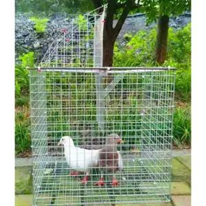 조류 트랩 비둘기트랩 철망 케이지 퇴치 새잡는도구 비둘기