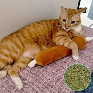 고양이 캣닢 봉제 인형 롱바베큐 1P 애착 장난감 토이 반려묘캣닙봉제인형