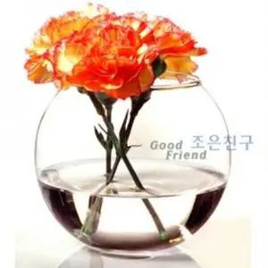 파사바체 어항글라스 대/놀이/금붕어/장식/어항/수조/곤충/구피/수족관/가정/용/미니/관상어/채집/관찰