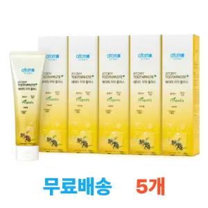 애터미 치약 플러스 200g, 5개(1세트)