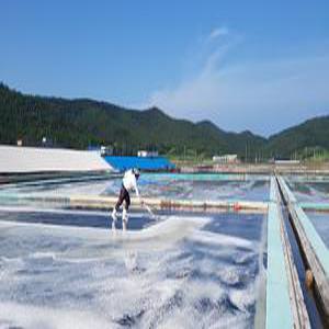 신안천일염 20kg