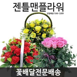 꽃바구니 축하 생일 프로포즈 기념일 꽃배달