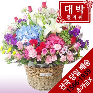 수국혼합 꽃바구니 생일선물 기념일 출산꽃바구니 병문안 부모님선물 전국꽃배달서비스