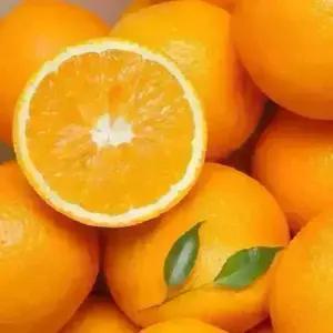 [거북농산]퓨어스펙 블랙라벨/고당도 오렌지 17kg 선택