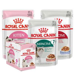 로얄캐닌 캣 파우치 85gx12개 고양이 간식 습식사료