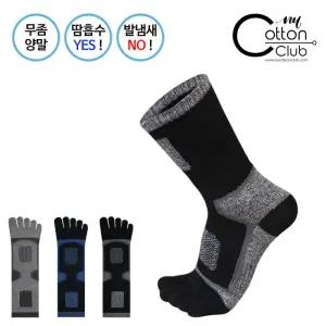 남 발가락 통풍 중목 양말 NCT01 5족세트