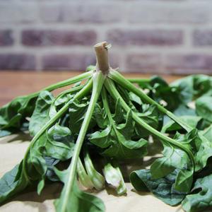 남해농협 공동선별 보물섬 시금치 1kg/2kg