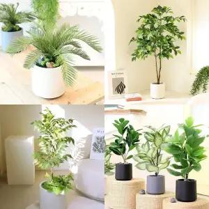 인테리어 조화나무 인조 나무 화분 장식 소품  모음 25cm~120cm