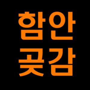 함안호랑이곶감 /수시1호 1.2kg/대봉1호 1.6kg/ 쫄깃하고 당도높은 임금님진상품. 영양간식, 선물용/싱싱장