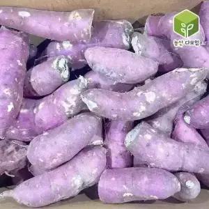 국내산 꿀밤 파 못난이고구마 10kg