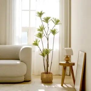 룸앤홈 리얼 와네키 조화나무