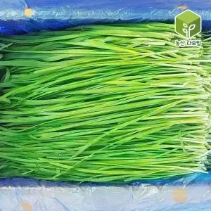 부추 4kg 2박스 묶음