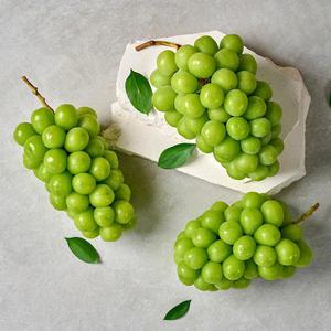 달디단 고당도 샤인머스캣 1kg/2kg
