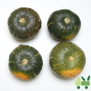 뉴질랜드 단호박 10Kg (8수)