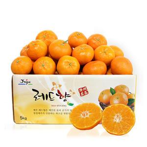제주도 레드향 5kg(벌크포장)