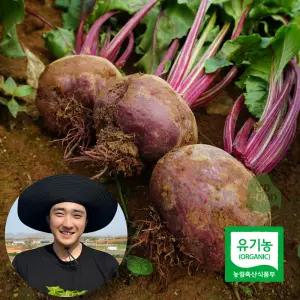 건담농수산 해남 유기농 햇 레드비트 3KG 특품 생비트 알비트