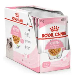 로얄캐닌 키튼 고양이 주식 사료 파우치 젤리 1박스