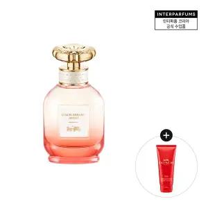 [코치](강남점)드림 선셋 EDP 40ML(+러브 EDP 바디로션 100ML)