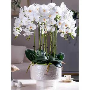 호접란대형조화 인공 개업축하 꽃화분 거실 화분 가짜꽃