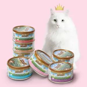프린세스 엑설런스 고양이 주식캔 습식사료 70g x24개