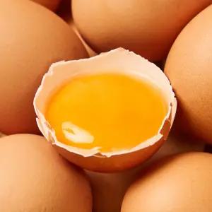 난각번호1번 유정란 무항생제 계란 20구 [원산지:국산]