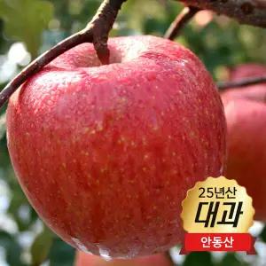 [대과] 제철엔 안동 햇사과 5.6kg (2.8kg x 2박스) / 에이플 레드 등급 / 20∼22과