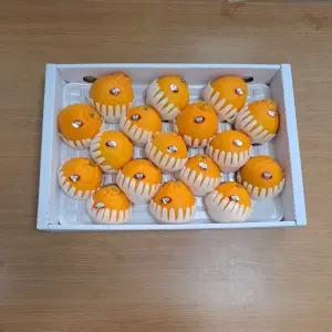 써니트 한라봉 중과 선물용 5kg 고당도 감귤 과일 선물세트