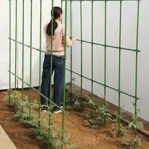 장미 토마토 포도 결속기 지주대 덩굴 정원 오이 덩쿨