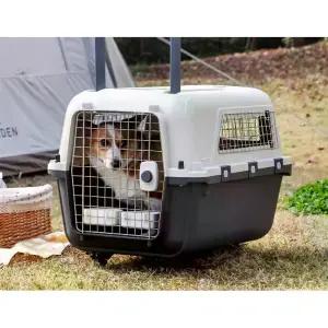 대형견 켄넬 애견 대형견켄넬 이동가방 가방 소프트 이동식