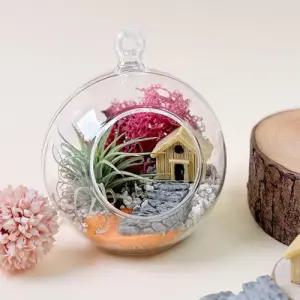 식물 인테리어 숲속 오두막 테라리움 만들기 세트 WFHEKYE