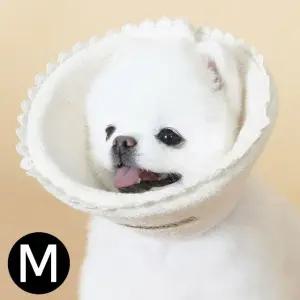 오가닉 강아지 M 넥카라 (WFJR6I4)