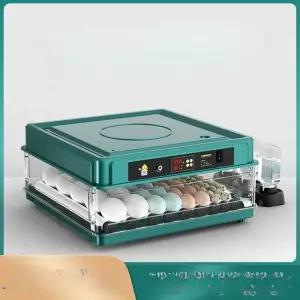 계란 부화기 전란 시골 축사 달걀 온도조절 자동 농장 단일 닭 유정란