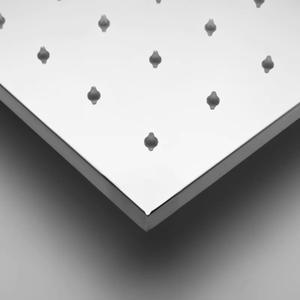 라포식 천장 장착 강우 샤워헤드 사각형 브러시 표면 400x800mm