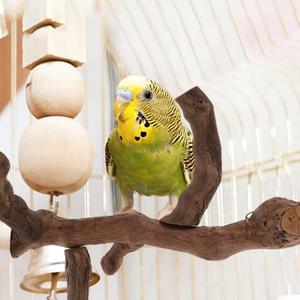 앵무새 놀이 스탠드 천연 나무 새 케이지용 씹기 방지 발톱 연마봉 활동 훈련 새장
