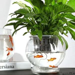 수경 식물 플라스틱 투명 2개묶음 원형 겸용 재배 어항 화초 화분