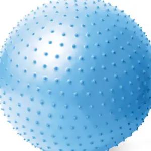 L13 65cm 짐볼 마사지짐볼 알래스칸 블루 마사지볼 짐